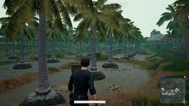 Plunkbat_Sanhok_coconutfarm