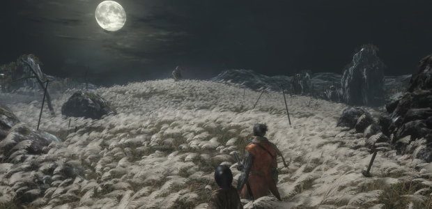 The shinobi with his lord behind him, faces off against the commander on a moonlit field