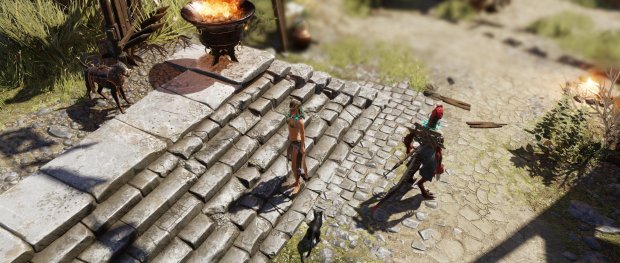 Divinity: Original Sin 2 is not friendly for cats | Rock Paper Shotgun