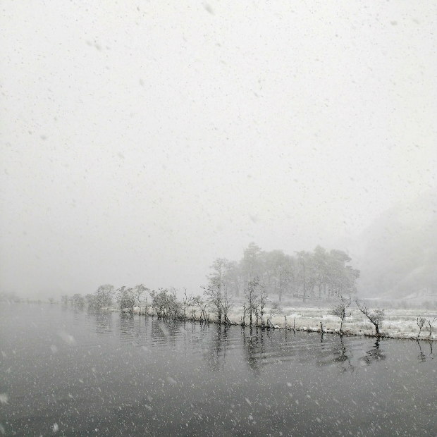 alicesnow
