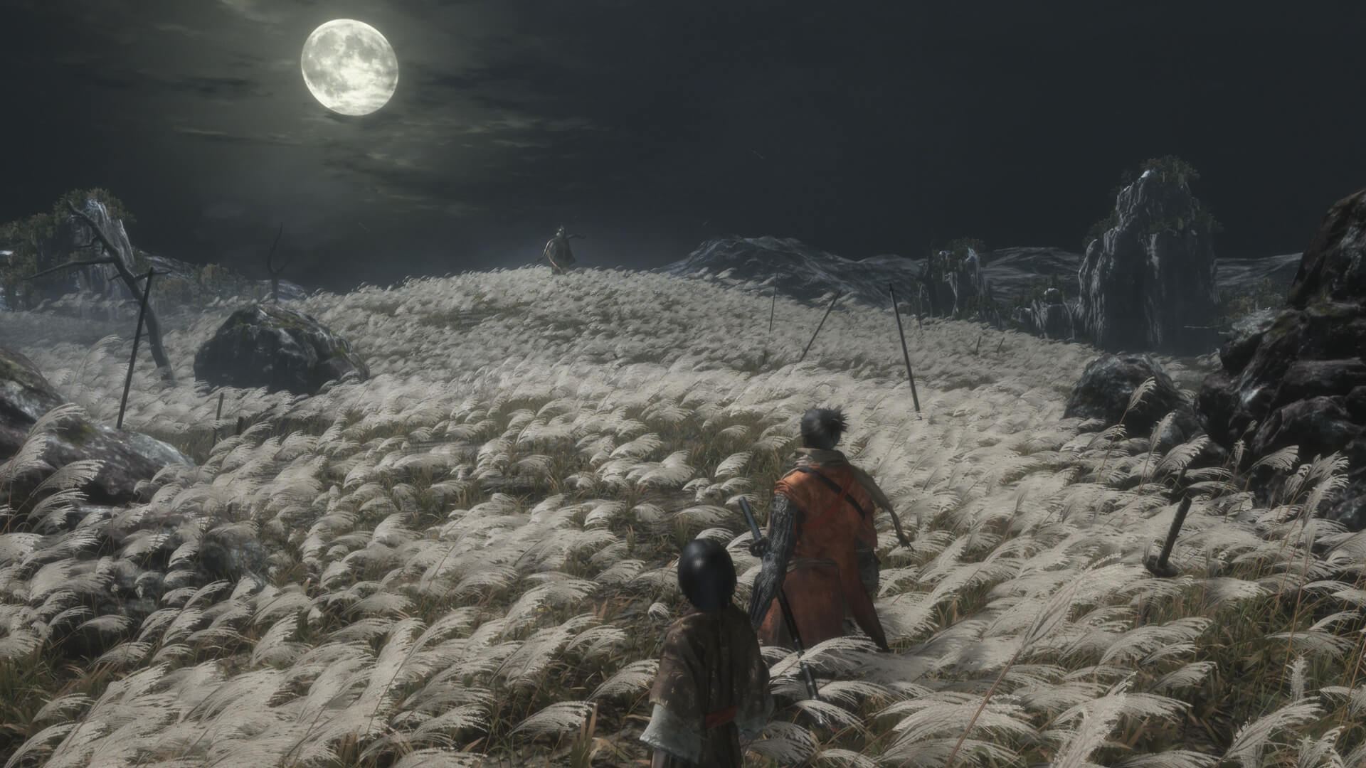 Sekiro: Shadows Dies Twice hands on preview | Rock Paper Shotgun