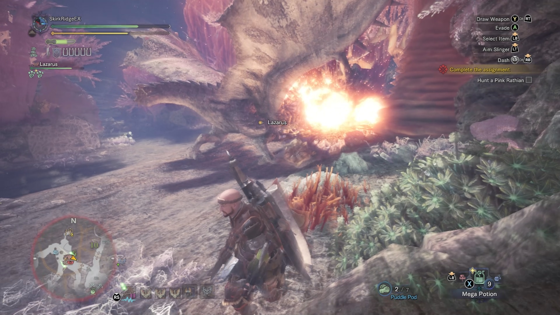 Pink Rathian shooting fireball at Palico.