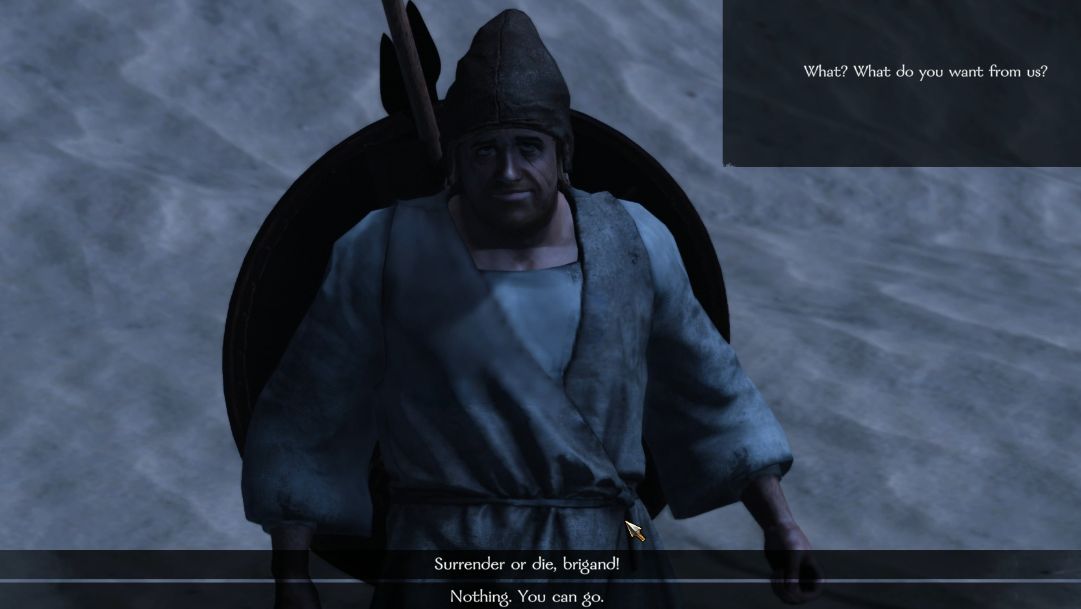 mount and blade multiplayer campaign