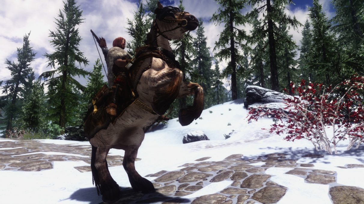 skyrim se first person horse