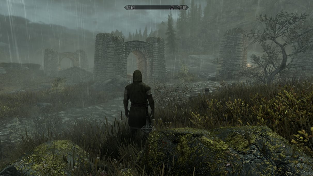 skyrim se multiple followers