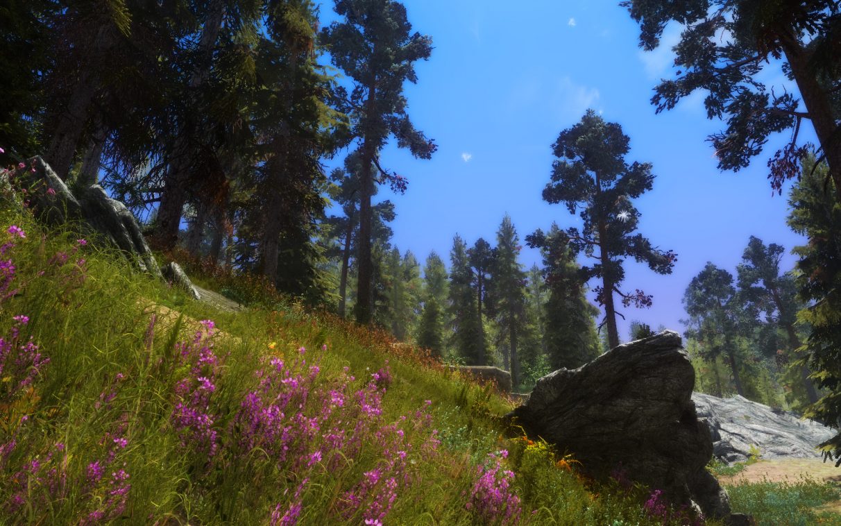 Best Skyrim mods 2023