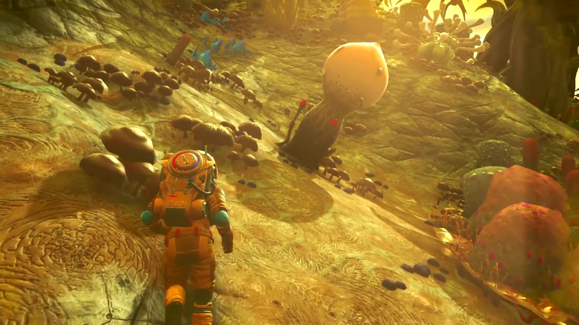 A leaked No Man’s Sky trailer reveals visions of the following replace