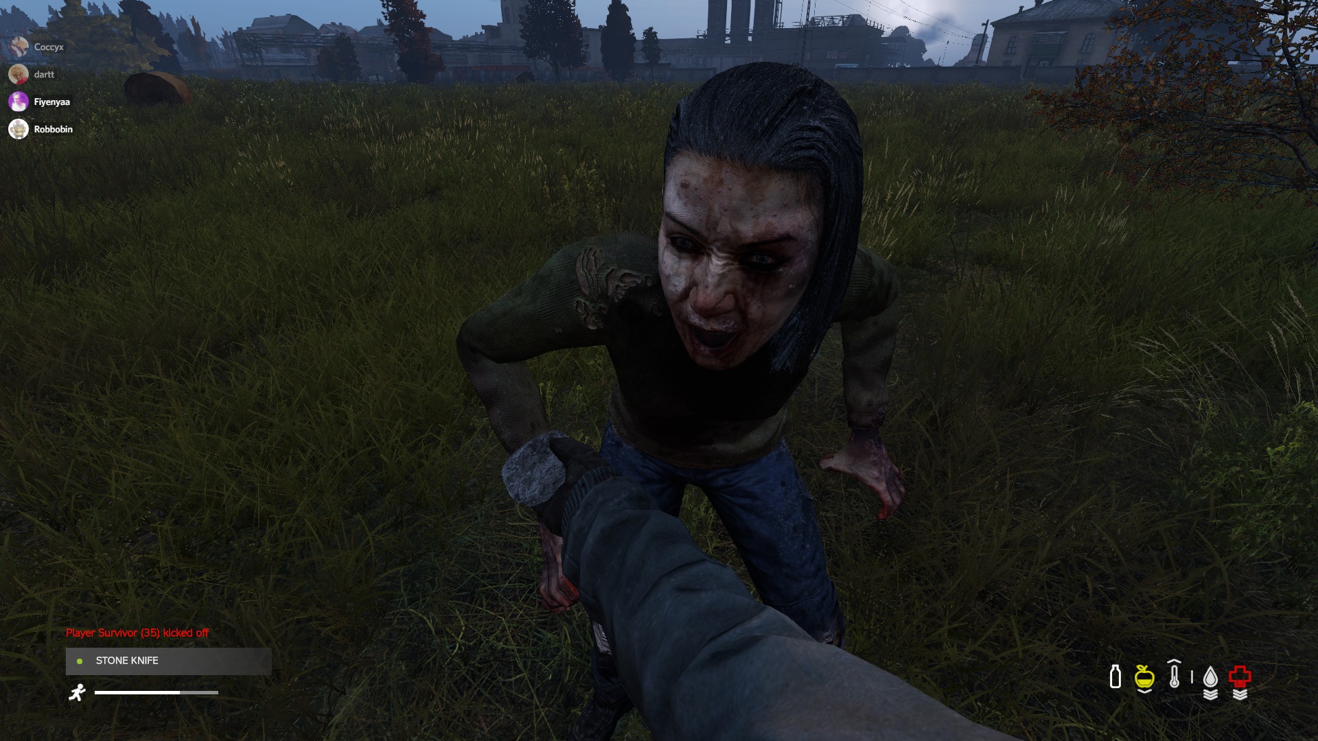 DayZ review  Rock Paper Shotgun