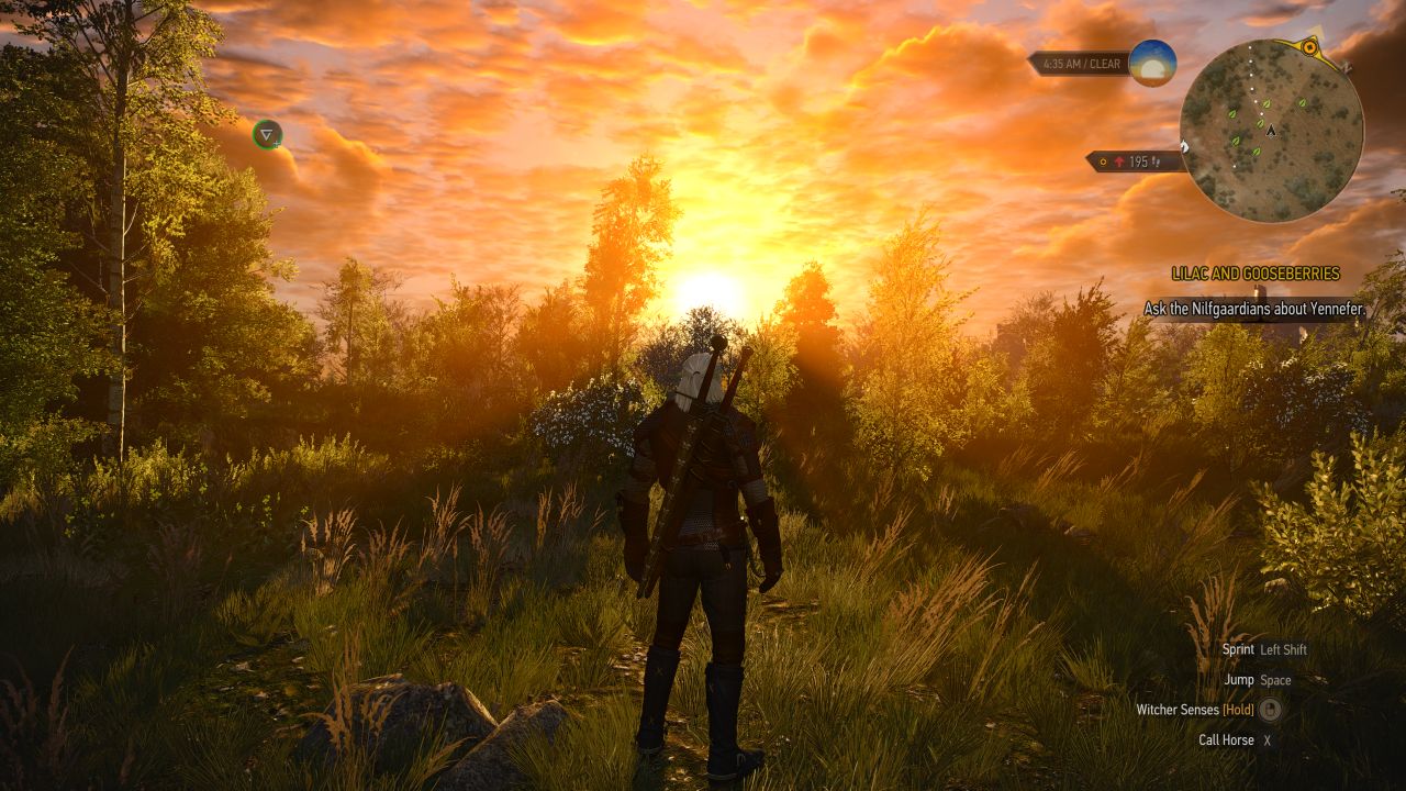 witcher 3 low graphics mod