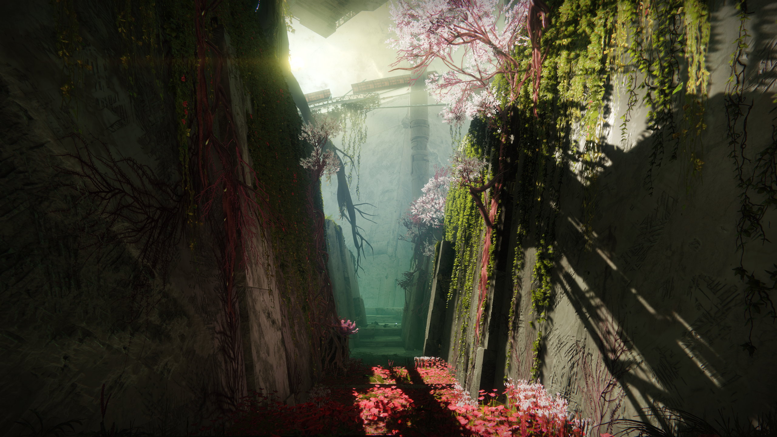 destiny-2-s-garden-of-salvation-is-beautiful-rock-paper-shotgun