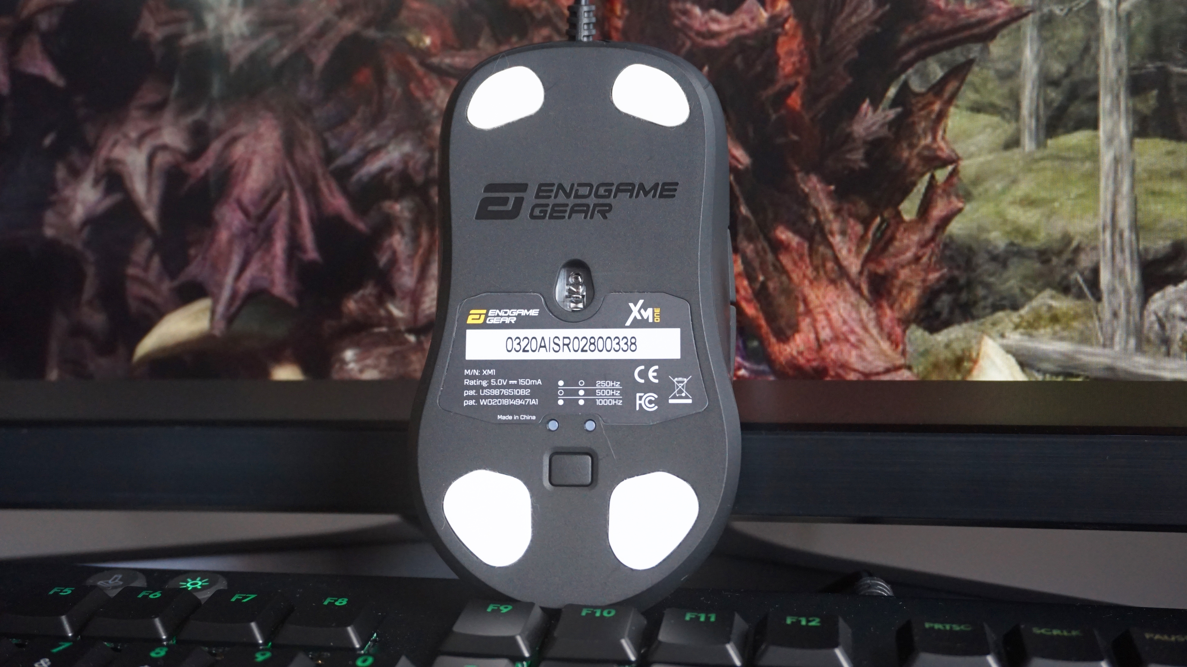 Endgame Gear Xm1 Review A Lightweight But Underwhelming Gaming Mouse Rock Paper Shotgun