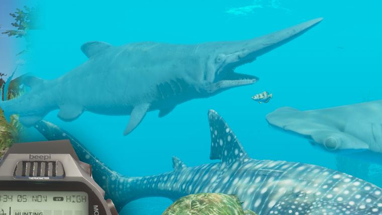 The 9 Deadliest Sharks In Videogames Rock Paper Shotgun the 9 deadliest sharks in videogames