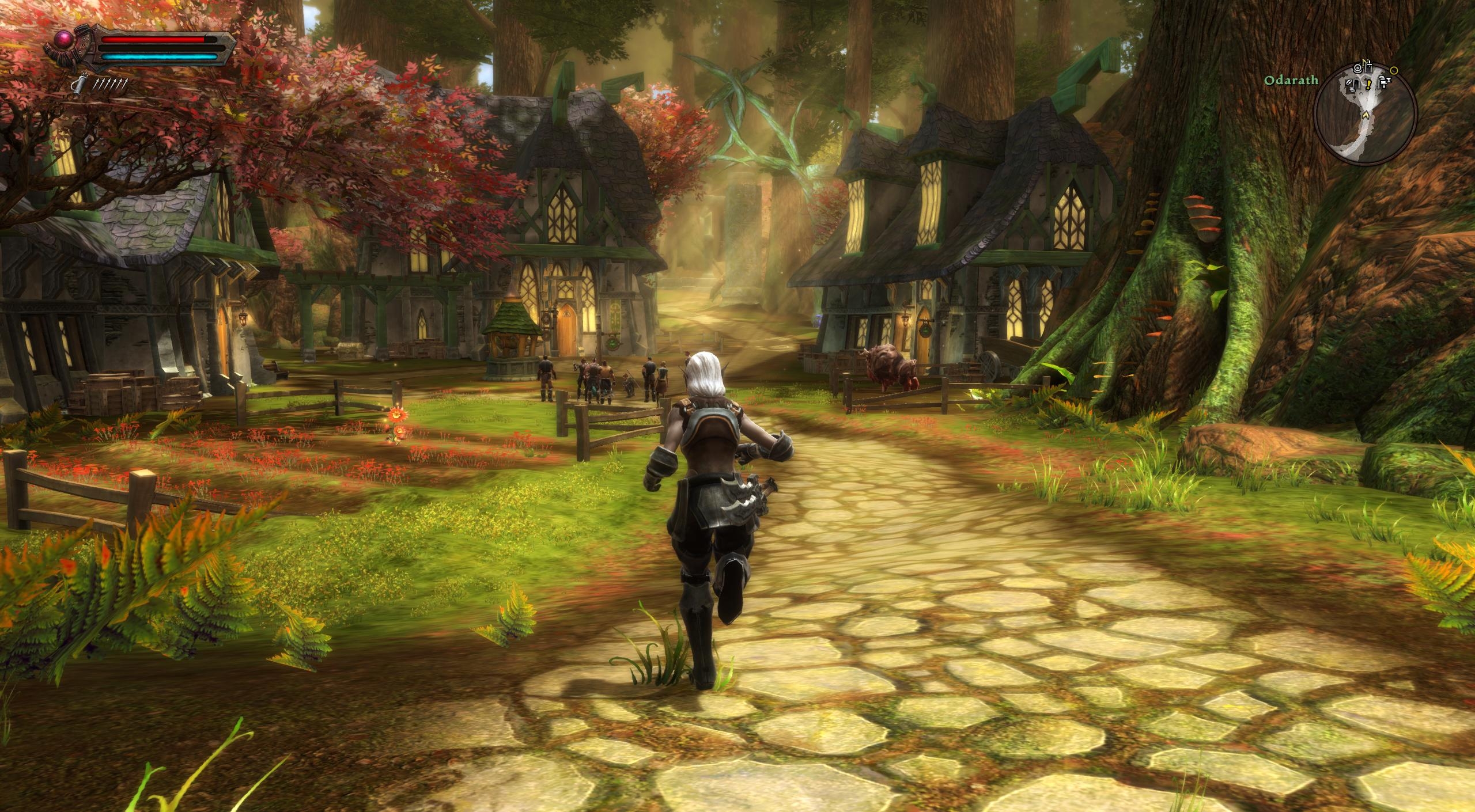 Kingdoms Of Amalur  Reckoning barely needs updating at all - 4