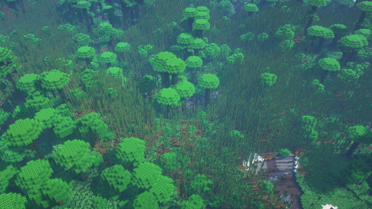 Best Minecraft Seeds 1.16 - Colossal Jungle