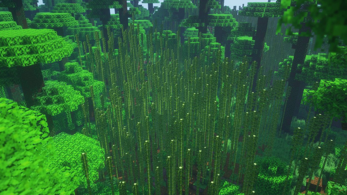 Best Minecraft Seeds 1.16 - Yet Another Bamboo Jungle