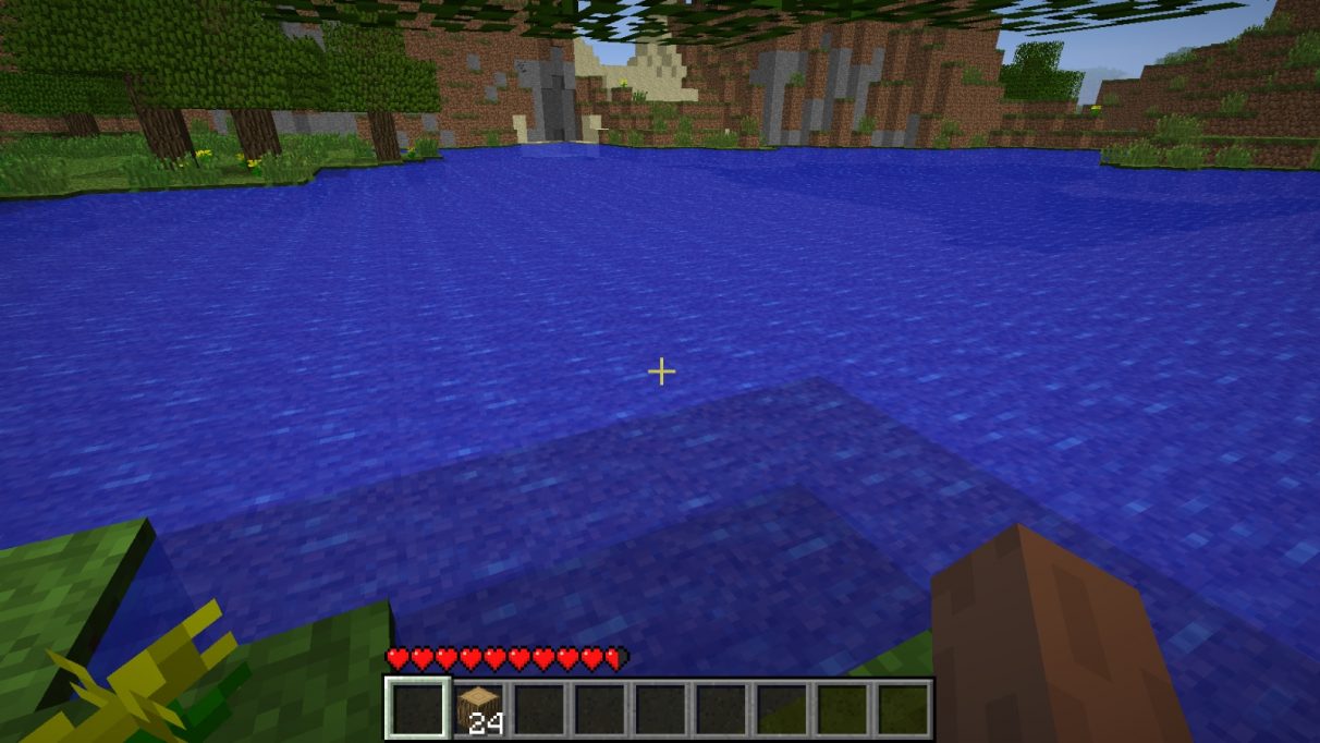 An empty lake in Minecraft.