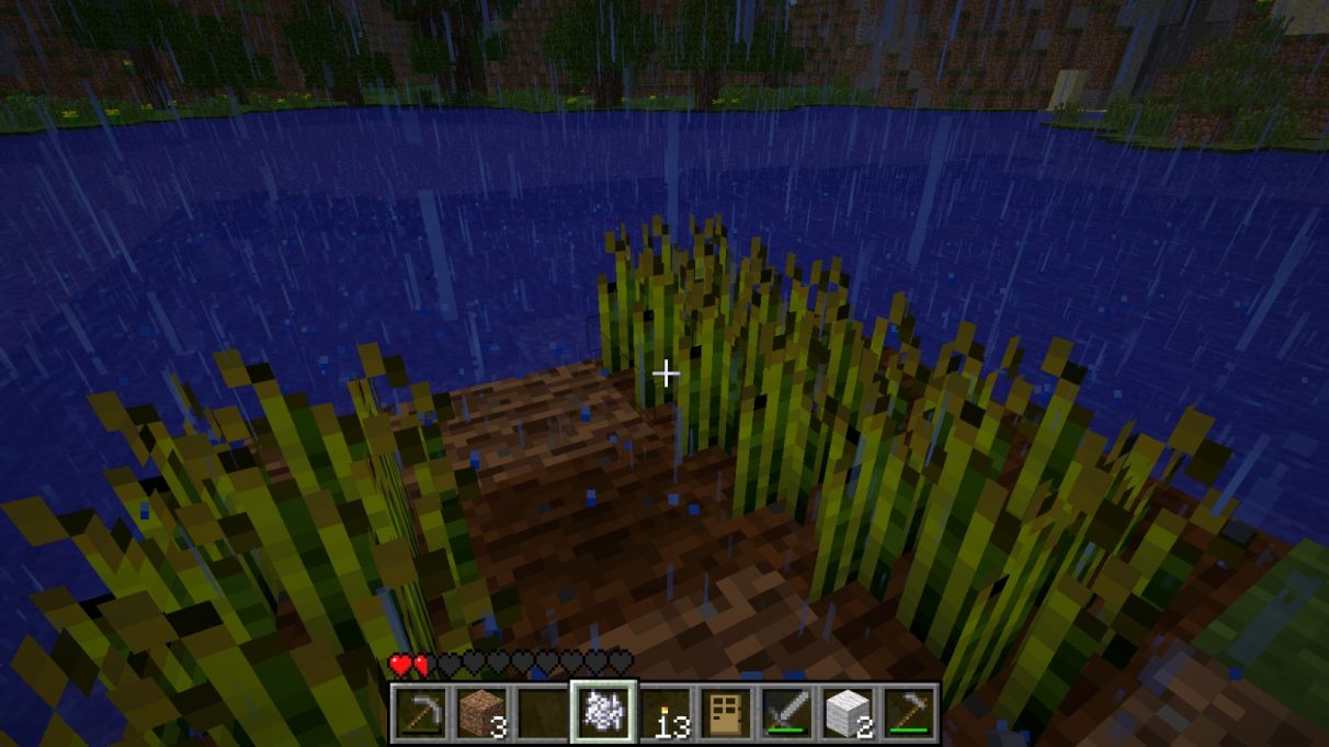 A hastily constructed farm at the side of the lake, made of two short rows of wheat