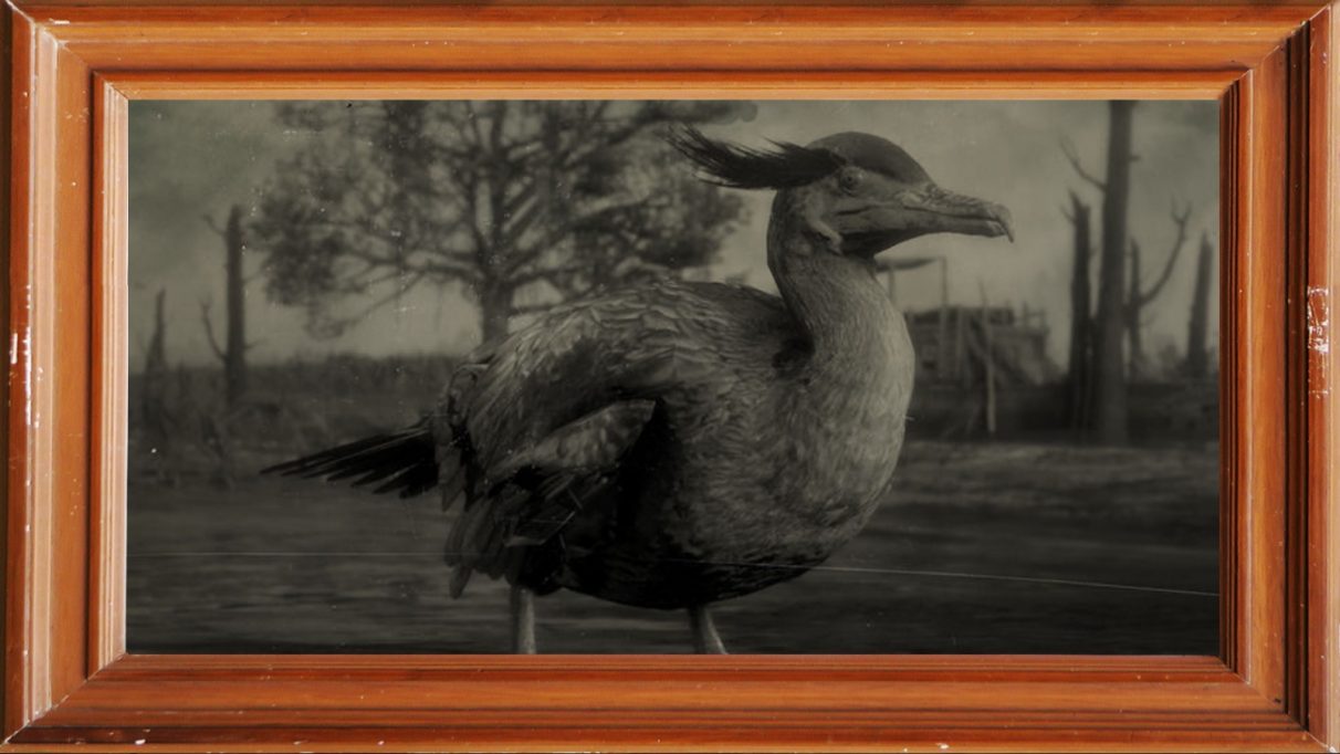 A screenshot of a neotropic Cormorant in Red Dead Redemption 2