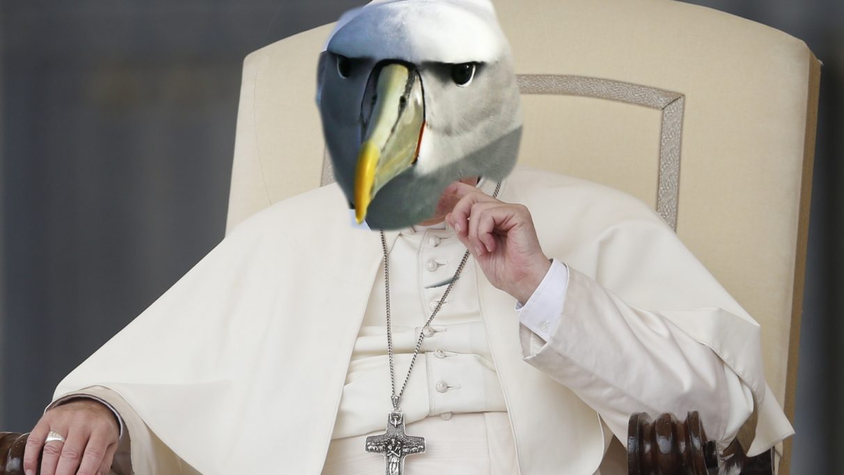 A photograph of the Pope but with an albatross head instead of his normal head.